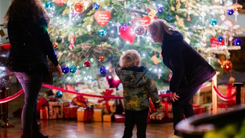 Visitors in the Staircase Hall at Christmas, Tatton Park, Cheshire